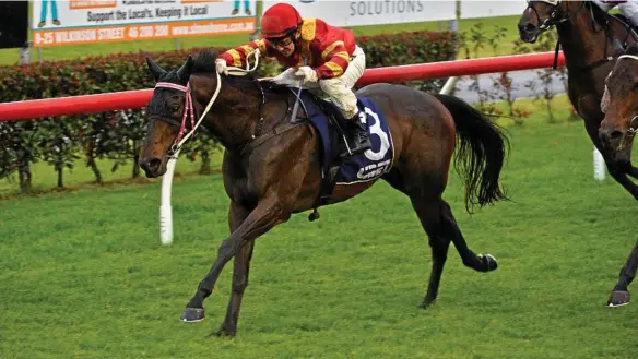  ?? PHOTO: KEVIN FARMER ?? WINNING RIDE: Jockey Nozi Tomizawa guides Rhiatenn Road to victory for trainer Kevin Kemp in race one at Clifford Park.