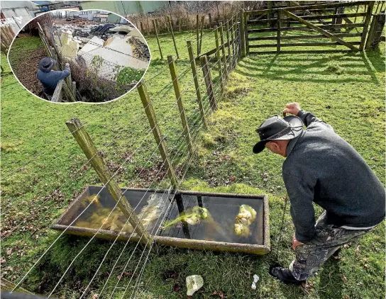  ?? PHOTO: WARWICK SMITH/FAIRFAX NZ ?? Duncan Mcgillivra­y is frustrated by plastic bags and bits of litter from the Feilding Refuse Station flying (see inset) into neighbouri­ng paddocks.