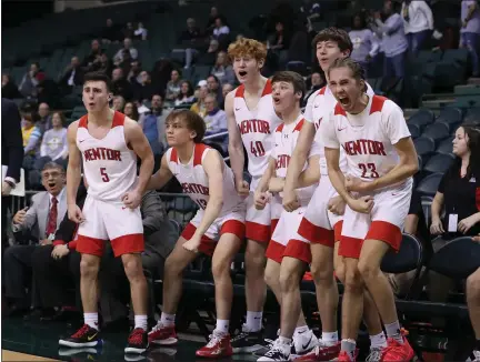 ?? TIM PHILLIS — FOR THE NEWS-HERALD ?? Mentor’s bench celebrates during the Cardinals’ regional semifinal victory against Medina March 11.