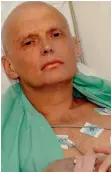  ??  ?? Killed: Alexander Litvinenko