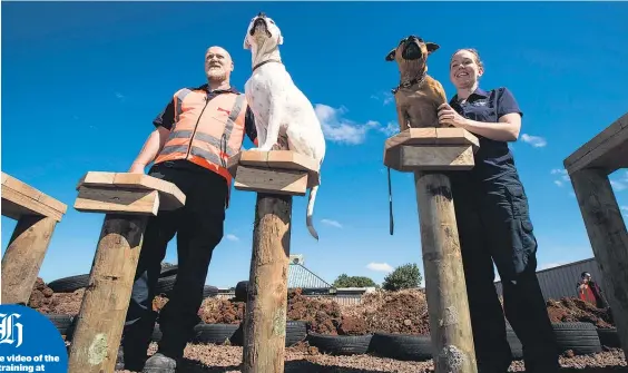  ?? Picture / Jason Oxenham ?? Kevin Plowright with Bosco, left, and Ashley Phipps with Pagan take part in an SPCA canine confidence course.