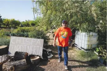  ?? AP FILE PHOTO/ROSS D. FRANKLIN ?? Masavi Perea, organizing director for Chispa Arizona, walks along the pathway of the community garden, passing Chispa’s plot on May 18. 2022.