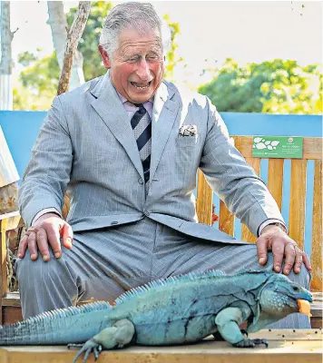  ??  ?? Prince Charles sits beside a rare blue iguana, called Peter, in the Cayman Islands as his royal tour of the Caribbean draws to a close