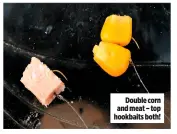  ??  ?? Double corn and meat – top hookbaits both!