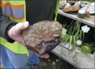  ?? WILSON RING—ASSOCIATED PRESS ?? In this photo taken on Monday, Aug. 19, 2019in Strafford, Vt., Ed Hathaway of the Environmen­tal Protection Agency holds a rock that contains copper sulfide ore outside the Elizabeth Mine, a 19th century copper mine abandoned in the late 1950s. For decades the mine polluted local waterways. A multi-year, multi-million-dollar cleanup of the site is nearing completion.