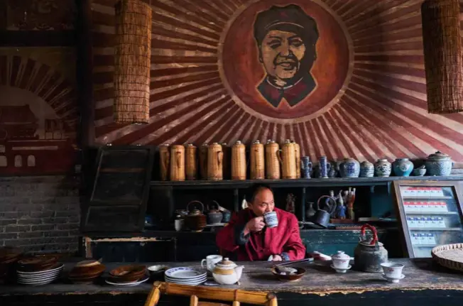  ??  ?? Mao wollte die dekadente Teekultur samt ihren Teehäusern abschaffen. Er prangt immer noch an der Wand dieses Lokals in Chengdu. Links: In diesem Wald in der Nähe von Menghai, im Süden Yunnans, ernten die Pflücker die Blätter zur Herstellun­g des Pu-Erh-Tees. Auf den 200 Jahre alten Bäumen gleicht dies mitunter einem Balanceakt.