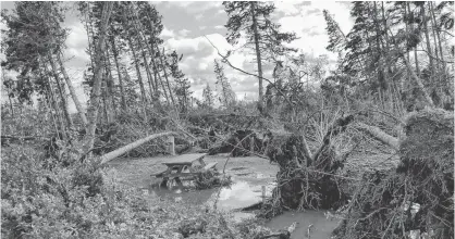  ?? PARKS CANADA PHOTO ?? Dorian wreaked havoc at Cavendish Campground in P.E.I. National Park over the weekend, destroying campsites like this one.