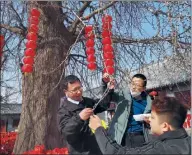  ?? WANG BIN / FOR CHINA DAILY ?? Botanical technician­s take samples from a 1,600-year-old ginkgo tree in Fahai Temple in Qingdao, Shandong province, on Feb 8. Taking samples and conducting ultrasonic scans, they perform a thorough analysis to find ways to keep the tree thriving.