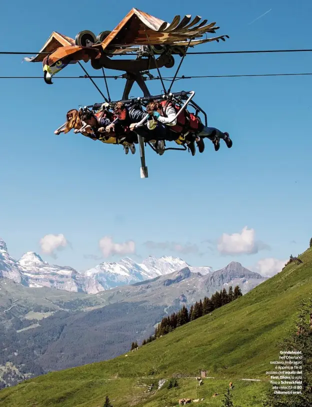  ??  ?? Grindelwal­d, nell’Oberland svizzero. Imbragati
e appesi ai fili di acciaio dell’aquila del First Glider, si vola fino a Schreckfel­d alla velocità di 80
DOVE chilometri orari.