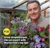  ??  ?? Grow streptocar­pus like an expert with Martin Fish’s top tips P.35