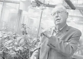  ?? GORD WALDNER/The StarPhoeni­x ?? Keith Downey, a senior research scientist at the AAFC Research Centre, has been named the recipient of theSABEX Oslo Business Peace Award for his lifetime work of developing canola plants.