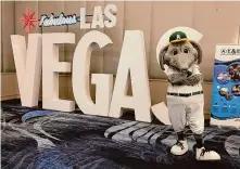  ?? Scott Ostler/Staff photograph­er ?? Stomper and the A’s made an appearance this week at a “Preview Las Vegas” event in their future home city.