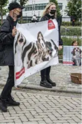  ?? FOTO BERT DE DEKEN ?? Tientallen demonstran­ten en hun honden stonden aan de ingang.