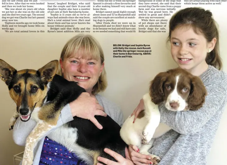  ??  ?? BELOW: Bridget and Sophie Byrne with Holly the rescue Jack Russell and Milo the springer rescue pup at their home in Barrindarr­ig. ABOVE: Charlie and Frida.