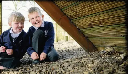  ??  ?? ●● Tyler Duffy and Sharna Jackson, both five, await the arrival of the chicks at St John’s Primary School