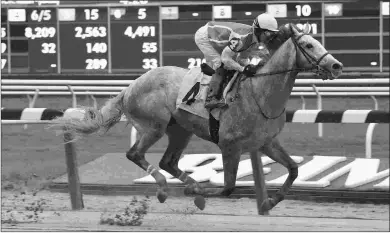  ?? PHOTO CREDIT ?? Rugbyman notched his maiden win May 13 at Belmont. He is a contender in the City of Laurel.