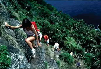  ?? Photo: Grahame McConnell/Destinatio­n NSW ?? DON’T LOOK DOWN: Climbing Mount Gower, Lord Howe Island.