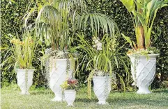  ?? POTTERY BARN VIA THE ASSOCIATED PRESS ?? Lilly Pulitzer’s white trellis-patterned planters are part of a new collaborat­ion with Pottery Barn.