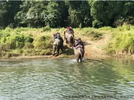  ??  ?? 沿途能看到很多当地人­坐在大象的后背上涉水­过河