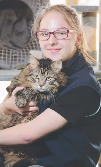  ?? Picture: PETER RISTEVSKI ?? PET CAPACITY: Tequili McClelland and three-year-old cat Roman at GAWS yesterday.