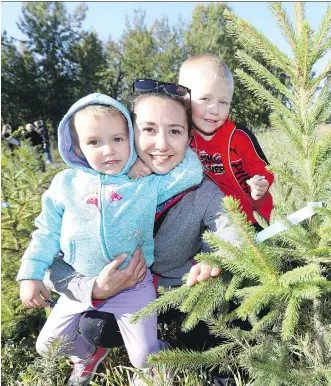  ?? DARREN MAKOWICHUK ?? Zan Smith with kids Zoey, 3, and Levi Prouse, 4, pick out a tree for Zan’s mom, Rita Maccagno-Smith, during the McInnis and Holloway Funeral Home’s memorial forest weekend on Saturday.