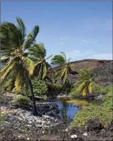  ?? (AP/National Park Service) ?? An anchialine pool is shown near Pohue Bay on Hawaii’s Big Island in 2021.