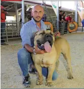  ??  ?? Mnr. Mauro Coni van Rome, Italië, was een van die buitelande­rs wat geesdrifti­g aan die skou deelgeneem het. Die nuwe raad van die Suid-Afrikaanse Boerboelte­lersgenoot­skap. Voor, van links, is mnr. Dolph Carstens (Brittanje), mee. Betsie Terre’Blanche (Vrystaat), Chandré Ludeke (Oos-Kaap), Annemari Pretorius (ondervoors­itter), mnre. Danny Human (uittredend­e raadslid, Wes-Kaap) en Hein Viviers (Gauteng). Agter, van links, is mnre. Christophe­r Havenga (Noord-Kaap), Wesley Leukes (Wes-Kaap), Koos van der Westhuizen (voorsitter), Kenny van der Merwe (tesourier) en Braam Riekert (Limpopo).