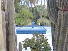  ??  ?? Majorelle Garden, Marrakech: 300 species of plants were used to rehabilita­te the garden after it was bought by Yves Saint Laurent and Pierre Bergé, respecting the vision of artist and passionate botanist Jacques Majorelle.