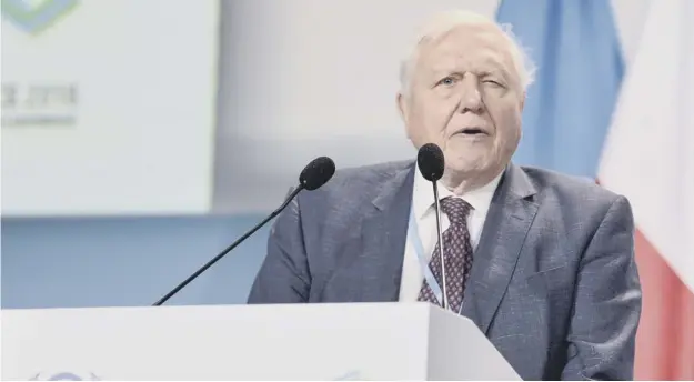  ?? PICTURE: LUKASZ KALINOWSKI/REX ?? 0 Sir David Attenborou­gh was speaking at the COP24 climate change summit in Katowice, Poland
