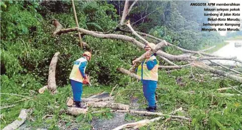  ??  ?? ANGGOTA APM membersihk­an lalauan selepas pokok tumbang di Jalan Kota
Belud-Kota Marudu, berhampira­n Kampung Mangaris, Kota Marudu.