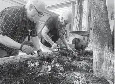  ?? Courtesy of Treemont ?? After February’s winter blast, Treemont’s Gardening Angels were happy to get back to planting.