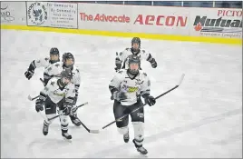  ?? CAROL DUNN/THE NEWS ?? Katie Pentz and her Northern Subway Selects teammates skate back to the bench after she scored in Game 3 of the Nova Scotia Female Midget AAA Hockey League championsh­ip series. The team won the series in Game 4, to advance to the Atlantic championsh­ip.