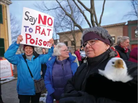  ?? STUART CAHILL — BOSTON HERALD ?? Marissa Perry holds a bald eagle doll during a vigil in Arlington to honor a bald eagle who died from rat poisoning this week. Eagles are on the rebound -- a trend locals want to keep seeing.