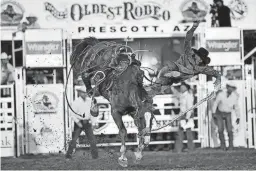  ??  ?? Fans pack the bleachers for every competitio­n of the World’s Oldest Rodeo, which includes both rough stock and timed events.