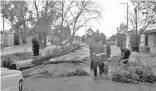  ??  ?? En Gómez Palacio cayeron 6 árboles y sucedieron 2 incendios en maleza