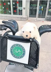  ?? RHONDA RICHE PHOTOS ?? The couple who found “Ossington Bear” took it for a night on the town.