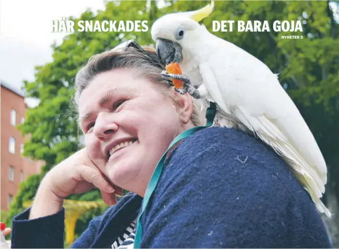  ?? FOTO: ULRICA ANDERSSON ?? RAST. Kicki Lövendahl och Aston, som passar på att ta en fruktpaus under papegojträ­ffen i parken.