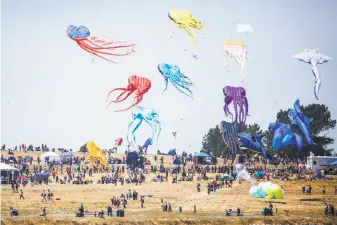  ??  ?? A group of octopus kites, joined by some whales and a stingray kite, wave their tentacles in the breeze during the Berkeley Kite Festival at the Berkeley Marina.