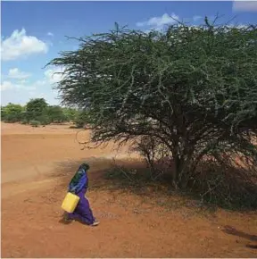  ??  ?? Ulusan, una donna cammina per un chilometro dal campo profughi al pozzo per prendere l’acqua.