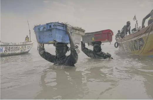  ??  ?? Men wade through the water as they carry fish cargo from the pirogues to the shore of Bargny beach last month.