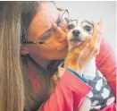  ?? Photo / AP ?? Katheryn Strang and her long-lost dog Dutchess are reunited.