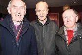  ??  ?? All for Charlevill­e, Tralee based Mike Smith and Mike Lynch with John Dineen (centre) at Croke Park on Sunday.