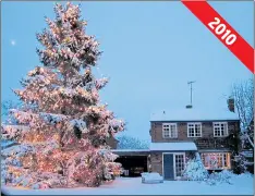  ??  ?? The huge tree looks magnificen­t in the snow with lights on