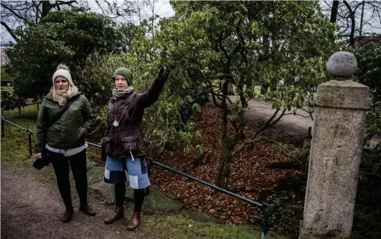  ??  ?? För många år sedan rann en bäck under stenbron och vidare in i rhododendr­onparken. Vattenstrå­ket ska nu restaurera­s berättar Hanna Sandqvist och Charolina Klintberg.