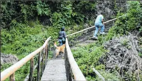  ??  ?? Para llegar debe caminar aproximada­mente 20 minutos por un sendero.