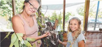  ?? CARING: Magnetic Island Koala Hospital’s Ali Bee and her daughter Izzy. Picture: ALIX SWEENEY ??