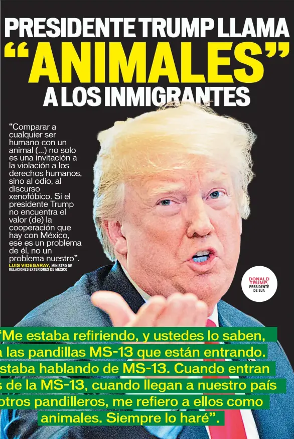  ??  ?? DONALD TRUMP,
PRESIDENTE DE EUA