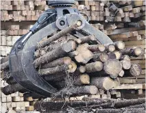  ?? JACQUES BOISSINOT/THE CANADIAN PRESS ?? At the sawmill where René Bruemmer worked, in Chapleau, Ont., “an ominous sign indicated how many days since the last accident.”