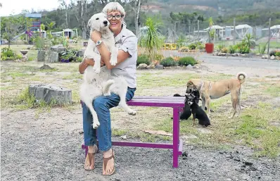  ?? Picture: MADELEINE CHAPUT ?? ONLY LOVE: Sue Kriel with some of the 165 dogs in her care at East London Pet Pals. Kriel opened the sanctuary in 2011 and has since saved many animals.
