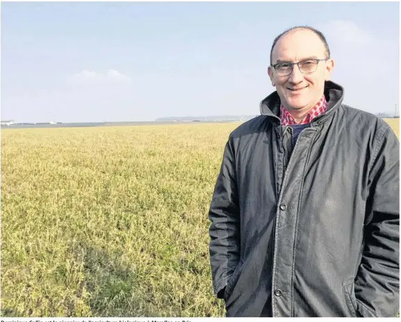  ??  ?? Dominique Collin est le pionnier de l’agricultur­e biologique à Marolles-en-Brie.